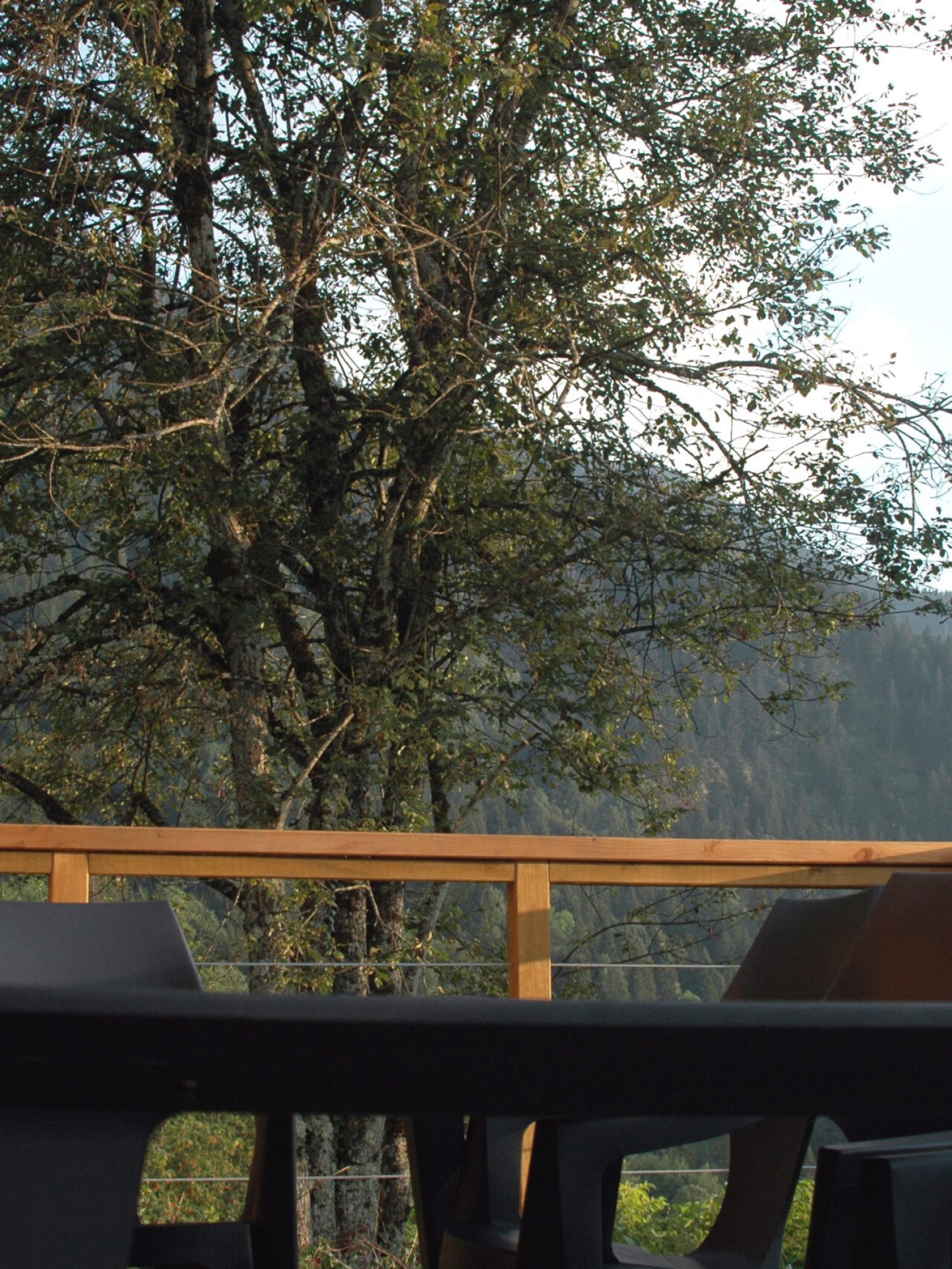 Terrasse en bois avec table et chaises du chalet La Godille, location en Val d'Arly, dans son écrin de verdure, avec vue sur la montagne.